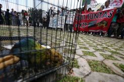 Komunitas Politik Guntur 49 Desak KPK Usut Tuntas Kasus Korupsi E-KTP
