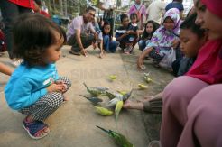 Serunya Liburan di Palembang Bird Park