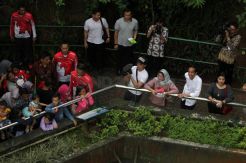 Presiden Jokowi dan Keluarga Berlibur di Ragunan