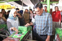 Djarot Kunjungi Taman Margasatwa Ragunan