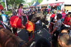 Ratusan Pengunjung Padati Bhayangkara Candi Festival