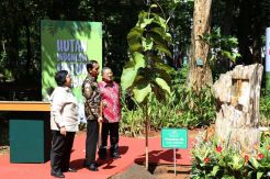 Presiden Jokowi Hadiri Peringatan Hari Lingkungan Hidup