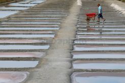 Melihat Petani Garam di Pulau Re, Prancis
