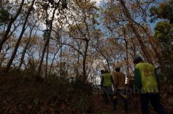Pemberdayaan Kelompok Tani Hutan untuk Mitigasi Berbasis Lahan