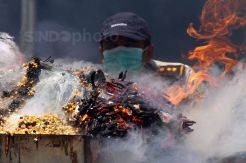 Balai Besar Karantina Surabaya Musnahkan Komoditas Pertanian Ilegal