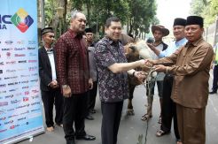 MNC Peduli Serahkan Sapi Kurban ke Masjid Istiqlal