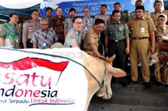 Sumbangan Hewan Kurban Grup Astra