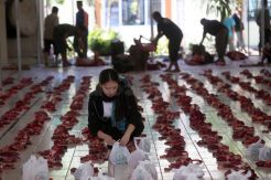 Mahasiswi Satsunan University Belajar Mengelola Daging Kurban