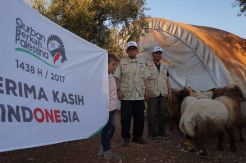 KNRP Bagikan Kurban untuk Pengungsi Suriah