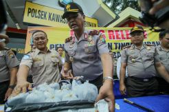 Polisi Gagalkan Penyelundupan Ribuan Bibit Lobster