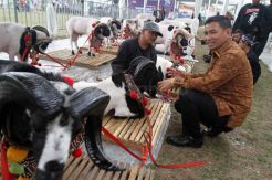 BNI Sosialisasikan Aplikasi Digital Loan