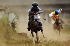 Pacuan Kuda Tradisional Sebagai Daya Tarik Wisata Lembang