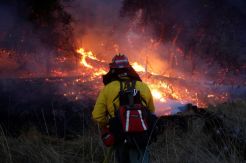 Kebakaran California Memburuk, 40 Orang Meninggal