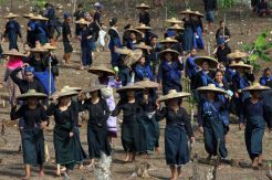 Musim Tanam Tiba, Suku Baduy Gelar Ritual Ngasek Pare
