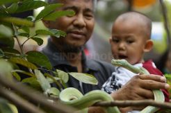 Kenalkan Alam ke Anak-anak di Hello Nature