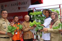 Pengembangan Tanaman Hidroponik di Rusunawa