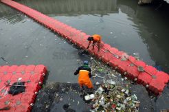 Bersih-Bersih Sampah di Kali Sentiong