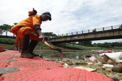Pembersihan Kali Pesanggrahan dari Sampah