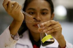 Mahasiswi Farmasi Ubaya Ciptakan Deodoran Berbahan Kayu Kesambi