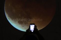 Menikmati Super Blue Blood Moon di TIM