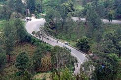 Puncak Lengang Pasca-Penutupan Jalan
