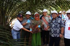 Sinar Mas Agribusiness and Food Terima SK Klasterisasi Plasma Sawit Swadaya