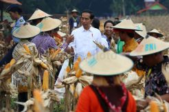 KUR BNI Sentuh 2.381 Petani Penggarap Lahan Hutan Perhutanan Sosial
