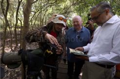 Wali Kota Liverpool Kunjungi Hutan Mangrove Surabaya