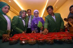 Ratusan Herbalis Ikuti Seminar Immunomodular Bahan Alam