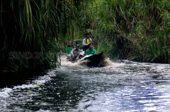 Menyusuri Keindahan Sungai Lamandau, Menyapa Satwa Jenaka