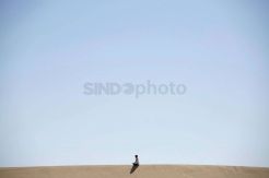 Latihan Yoga di Gurun Pasir Meksiko