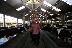 Ngariung Cerdas Bareng Peternak di Salatiga