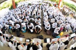Verifikasi Mahasiswa Baru Undip Jalur SNMPTN
