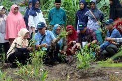 Kelompok Perempuan Dumai Tanam dan Olah Jahe Merah di Lahan Gambut