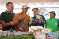 Perayaan HUT Ke-38 YDBA di Kalsel