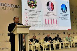 Menteri PPN Ajak Rusia Berinvestasi di Indonesia