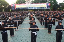 Ribuan Pesilat Unjuk Ketangkasan Senam Toya