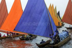 Lomba Perahu Kolek Meriahkan HUT RI di Batam