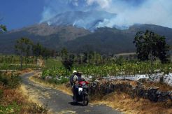 Kebakaran Hutan Gunung Sumbing Makin Meluas