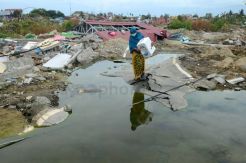 Korban Gempa Palu Mulai Bangkit