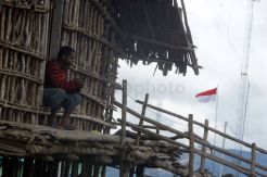 Menanti Jaringan Internet di Pegunungan Arfak