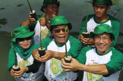 Nusantara Regas Tanam 100.000 Mangrove di Pulau Pramuka