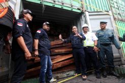 Ditjen Gakkum LHK Grebek Industri Penadah Kayu Ilegal dari Papua Barat