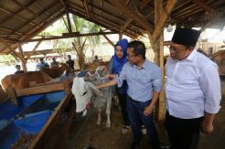 XL Axiata Bangun Solusi Digital Satwa Nusantara