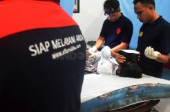Puluhan Anak Ikuti Khitanan Massal Alfamidi