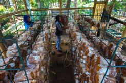 KBA Kebon Jeruk Tingkatkan Kualitas Hidup Masyarakat
