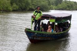 Libur Tahun Baru, Eco Wisata Hutan Mangrove Surabaya Padat Pengunjung