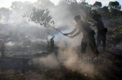 Hujan Tak Kunjung Tiba, Kebakaran Landa Lahan Gambut di Aceh Barat