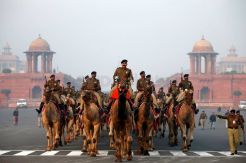 Pasukan Unta India Gelar Latihan Jelang Hari Republik