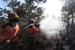Kebakaran Landa Hutan Konservasi di Dumai